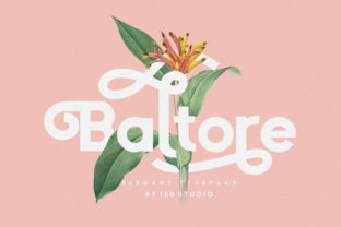 Baltore Font: Elevating Campaign Visuals with Sophisticated Sans Serif Design
