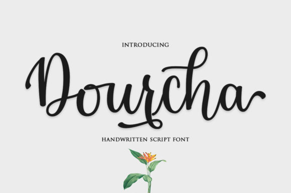 Dourcha Font: Modern Script Typography for Editorial Design