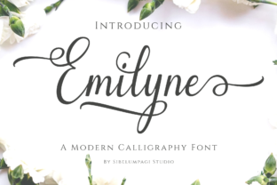 Emilyne Font: Elevating Campaign Visuals with Elegant Script