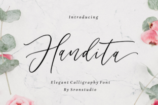 Handita Font: Elevating Campaign Visuals with Modern Script