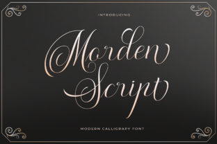 Morden Script Font for Elegant Web Design