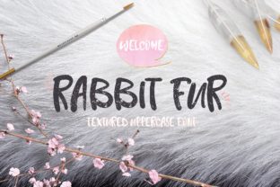 Rabbit Fur Font: A Textured Typeface for Modern Branding