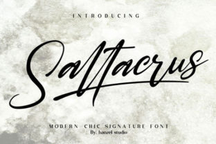 Saltacrus Font: Elevating Campaign Visuals with Signature Style