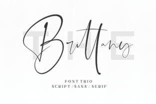 The Brittany Font: Elegant Script for Brand Identity